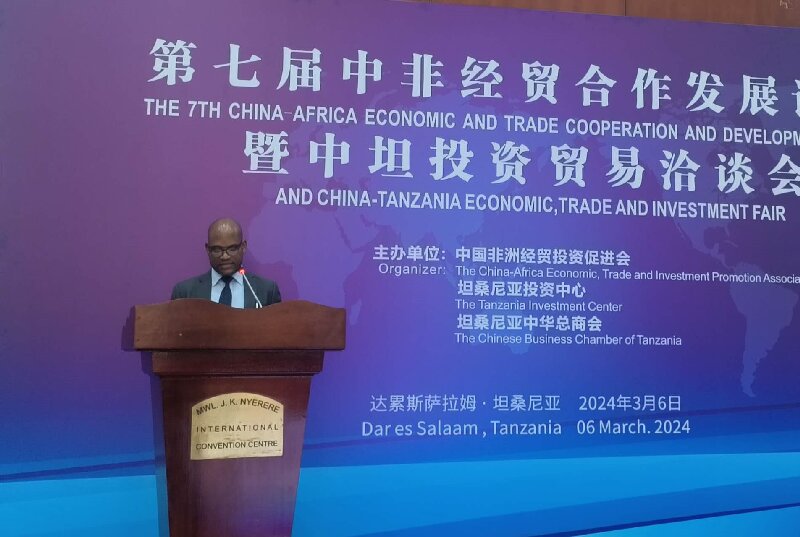 坦桑尼亚投资中心执行董事.jpg